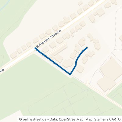Leo-Schulte-Straße Büren 