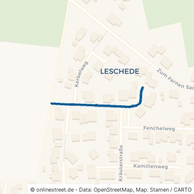 Basilikumstraße 48488 Emsbüren Leschede Leschede