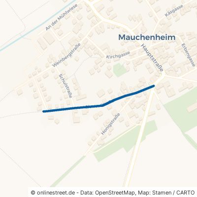 Sioner Straße Mauchenheim 