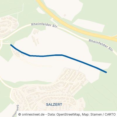 Alte Rheinfelder Straße 79539 Lörrach 