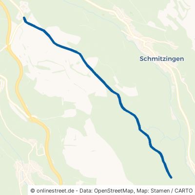 Alte Waldkircher Straße Waldshut-Tiengen Schmitzingen 