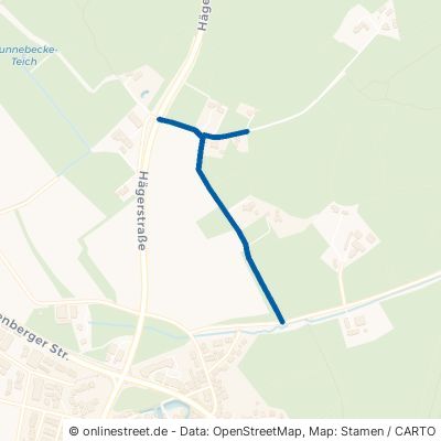 Hochherzweg Münster Nienberge 