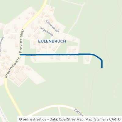 Maiglöckchenweg 51570 Windeck Eulenbruch 