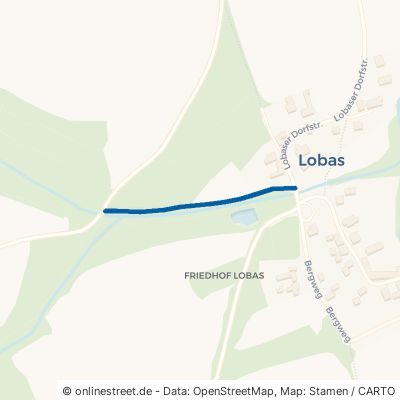 Wildenborner Weg 06712 Zeitz Lobas 