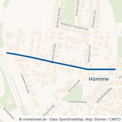 Wiesenbergstraße Hofgeismar Hümme 