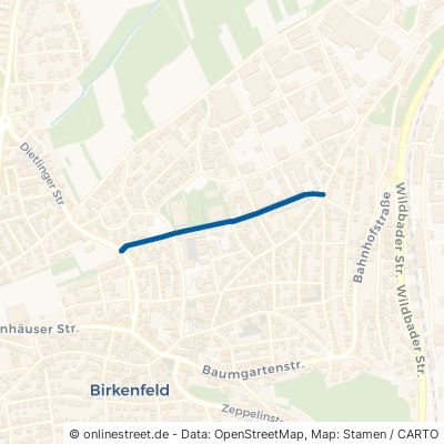 Jahnstraße Birkenfeld 