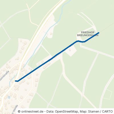 Oberwaldstraße Schotten Breungeshain 