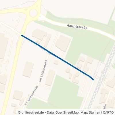 Ruster Straße 77975 Ringsheim 