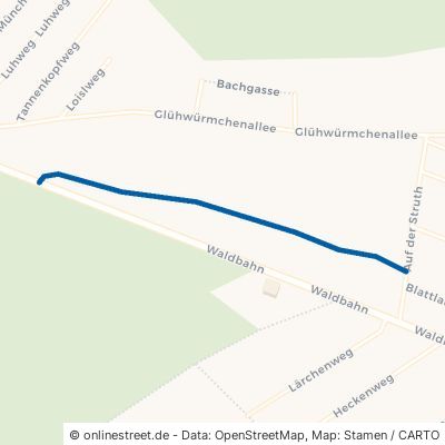 Fichtenweg 61250 Usingen Eschbach