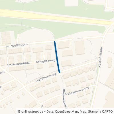 Blaumeisenweg Stuttgart Wolfbusch 