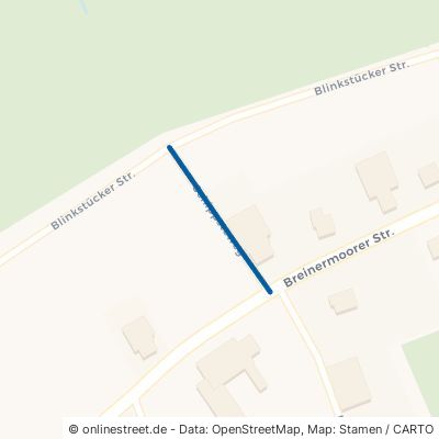 Schippsteweg Westoverledingen Breinermoor 