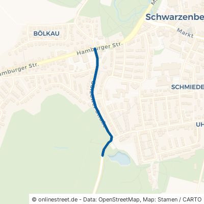 Gülzower Straße Schwarzenbek 