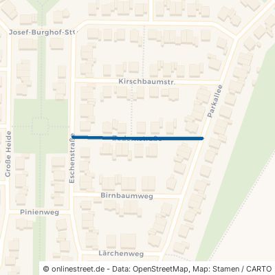 Zedernstraße 53919 Weilerswist 
