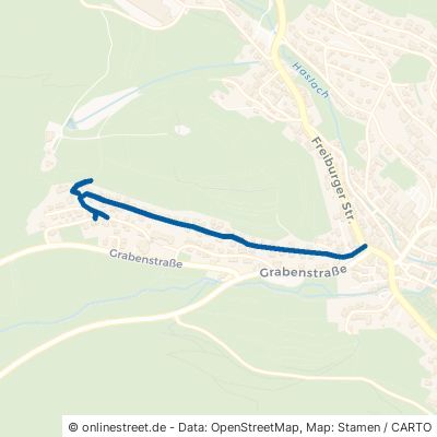 Haldenweg Lenzkirch 