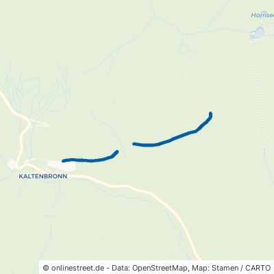 Mannslohweg Gernsbach Reichental 