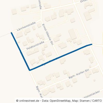 Bürgermeister-Fink-Straße 89356 Haldenwang Hafenhofen 