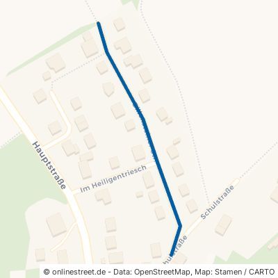Billensteiner Straße 56379 Horhausen 