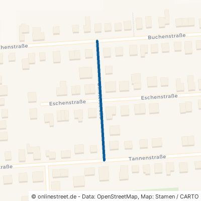 Ginsterstraße 48531 Nordhorn 