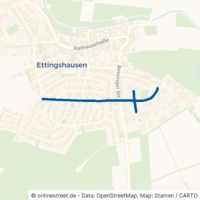 Münsterer Straße Reiskirchen Ettingshausen 