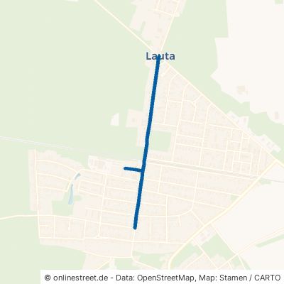 Karl-Liebknecht-Straße 02991 Lauta Torno 