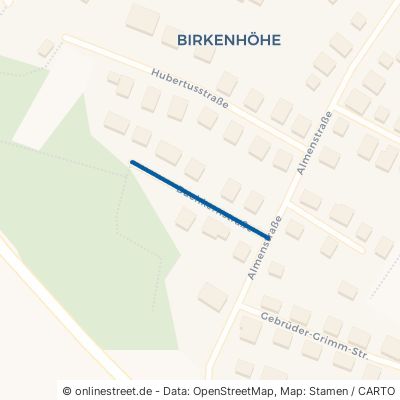 Buchkernstraße Maxhütte-Haidhof Birkenhöhe 