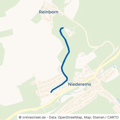 Reinborner Weg Waldems Niederems 