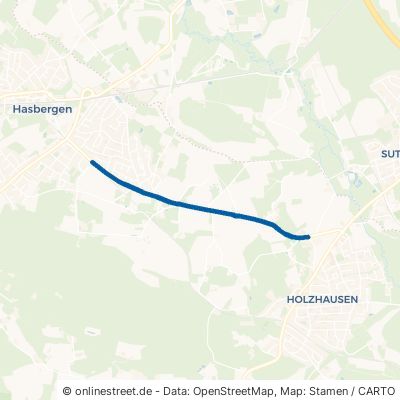Holzhauser Straße Hasbergen Ohrbeck 