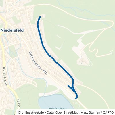 Am Bergelchen Winterberg Niedersfeld 