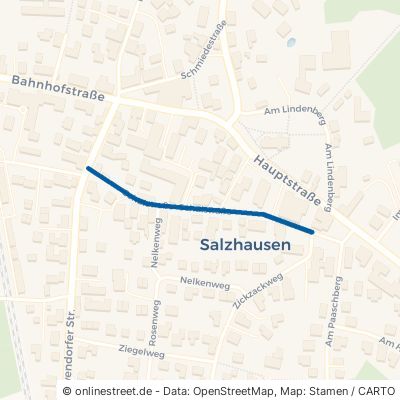 Schulstraße Salzhausen 