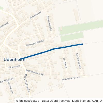 Schulstraße Udenheim 