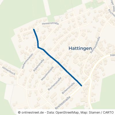 Hegaustraße 78194 Immendingen Hattingen 