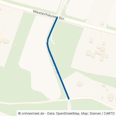 Dorothea-Milde-Weg 06484 Quedlinburg 