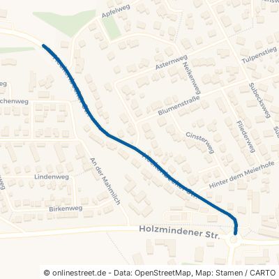 Heckenbecker Straße Bad Gandersheim 