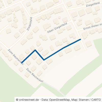 Georg-Schmider-Straße Zell am Harmersbach Zell 