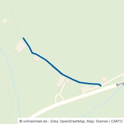 Obertal Furtwangen im Schwarzwald 