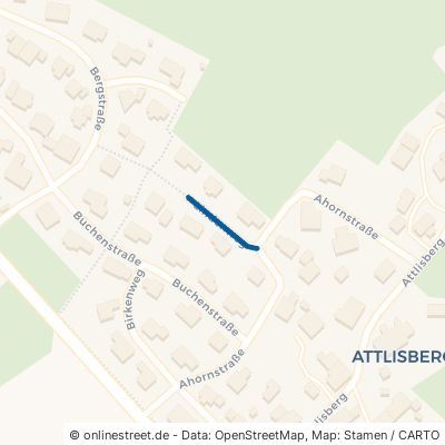 Lindenweg Höchenschwand Attlisberg 