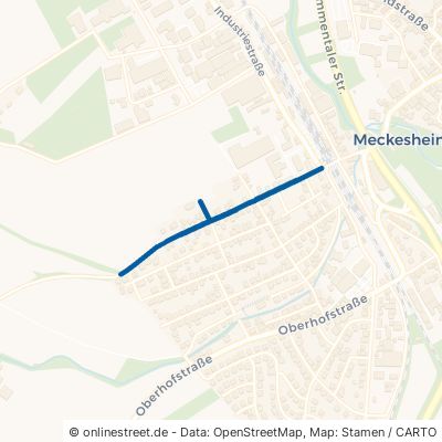 Schatthäuser Straße Meckesheim 
