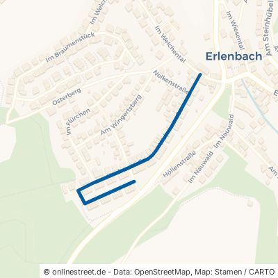 Weiherstraße Kaiserslautern Erlenbach 