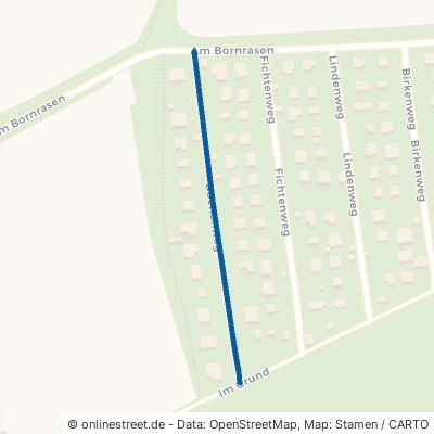 Buchenweg Amt Wachsenburg Kirchheim 