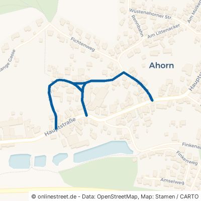 Ringstraße 96482 Ahorn 