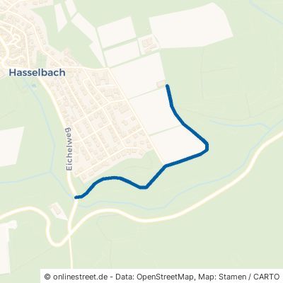 Schneebachstraße Weilrod Hasselbach 