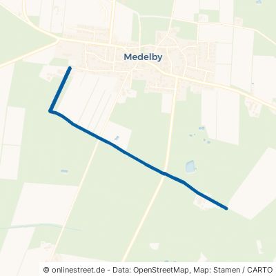 Steinberg Medelby 