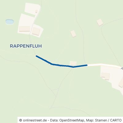 Rappenfluh 88175 Scheidegg Rappenfluh 
