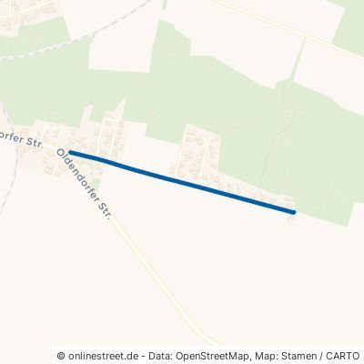 Mühlenweg Südheide Beckedorf 