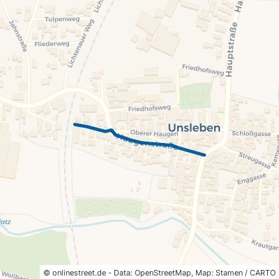 Haugenstraße 97618 Unsleben 