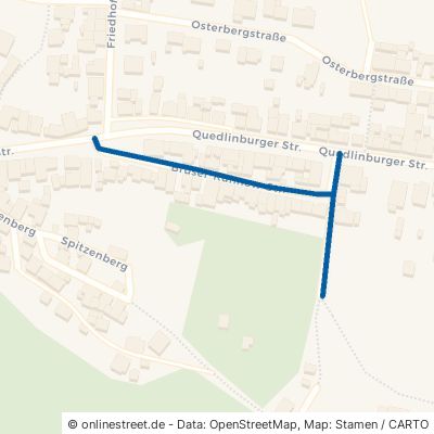 Brüser-Kuhnow-Straße Halberstadt Langenstein 