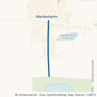 Dorn-Assenheimer-Straße Reichelsheim Weckesheim 