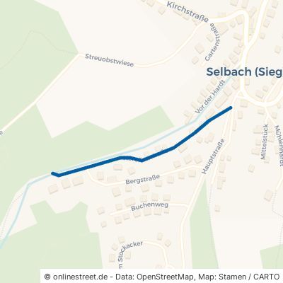 Korolianstraße Selbach 