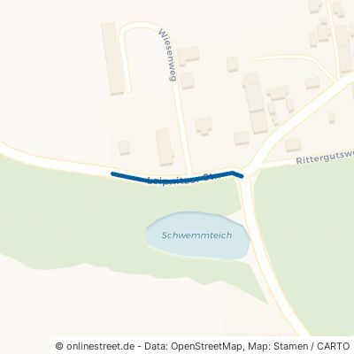 Leipnitzer Straße Grimma Böhlen 