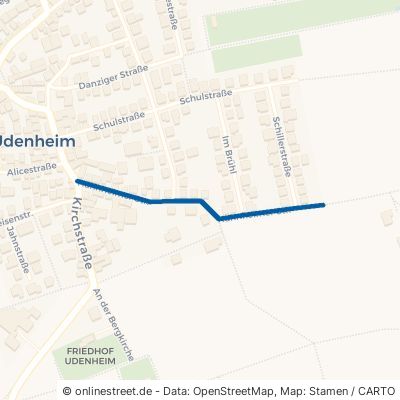 Hahnheimer Straße 55288 Udenheim 
